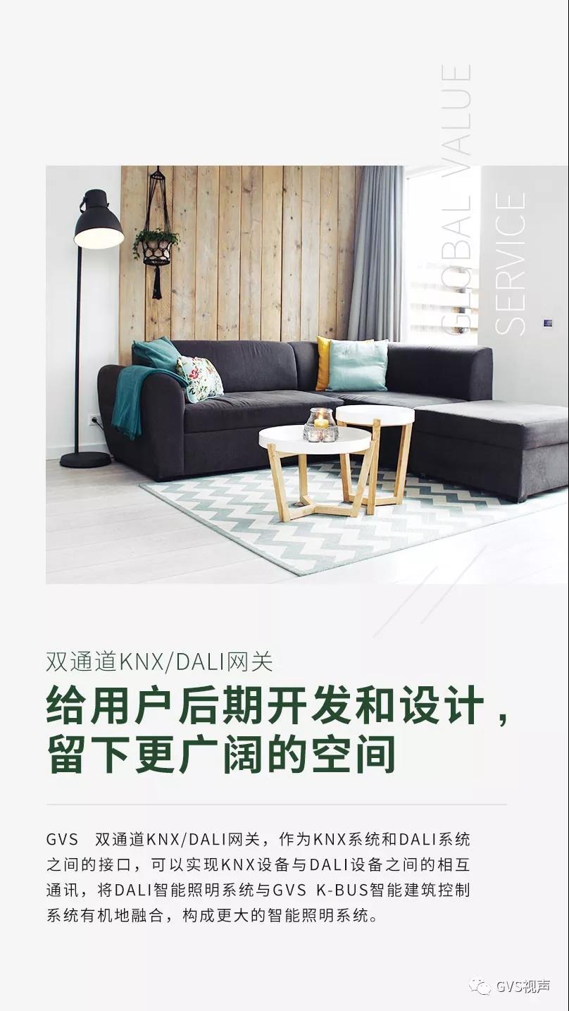 GVS 雙通道KNX/DALI網關